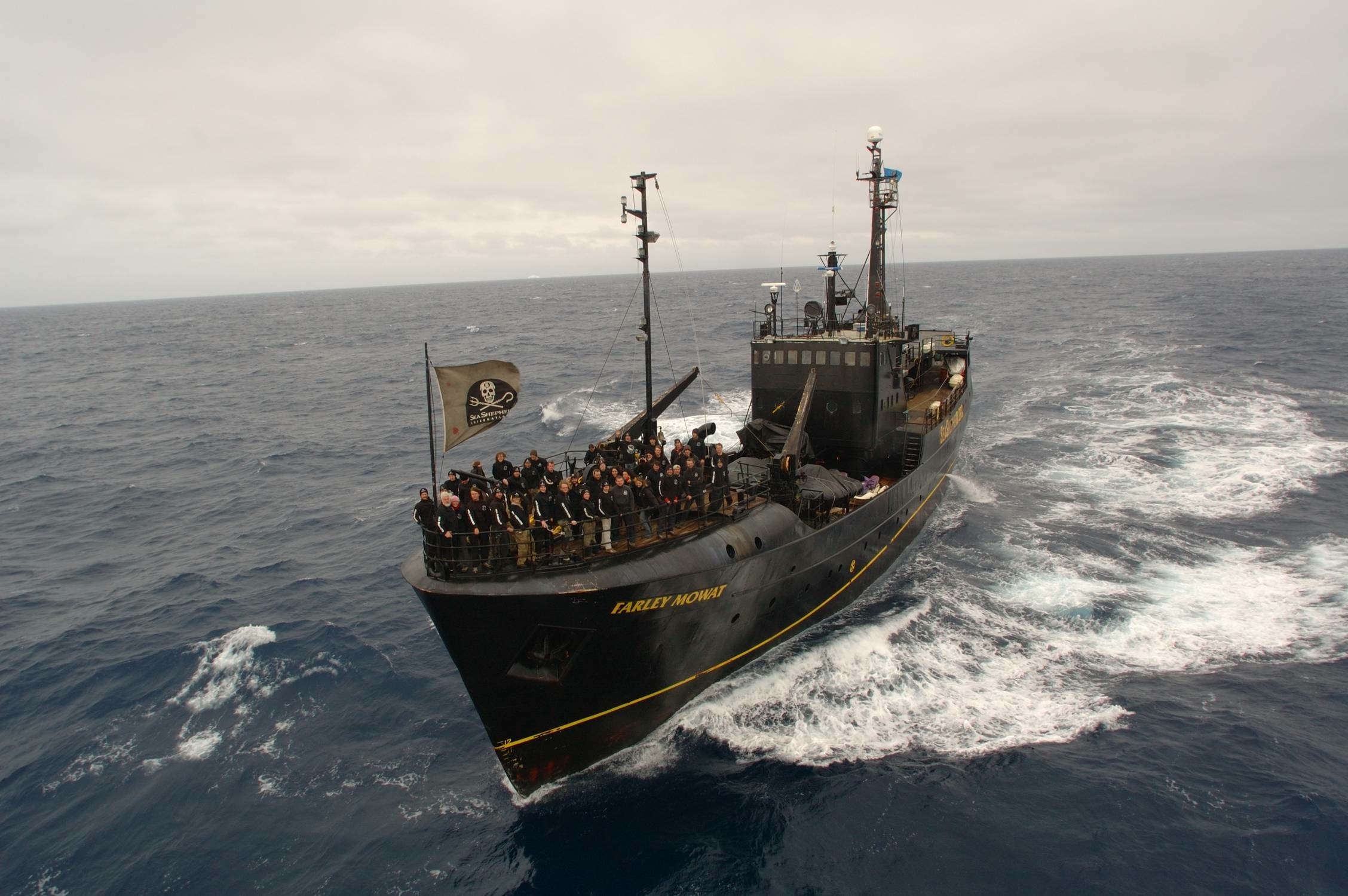Sea Shepherd: A Movement 