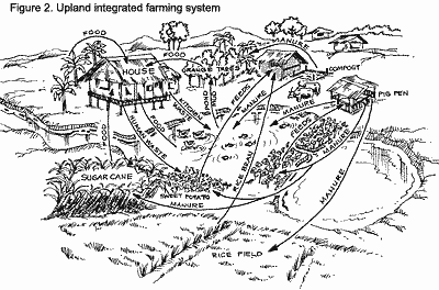 Integrated farming system upland source FAO