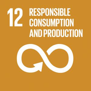 Sustainable consumption and production patterns: a new avenue for economic development