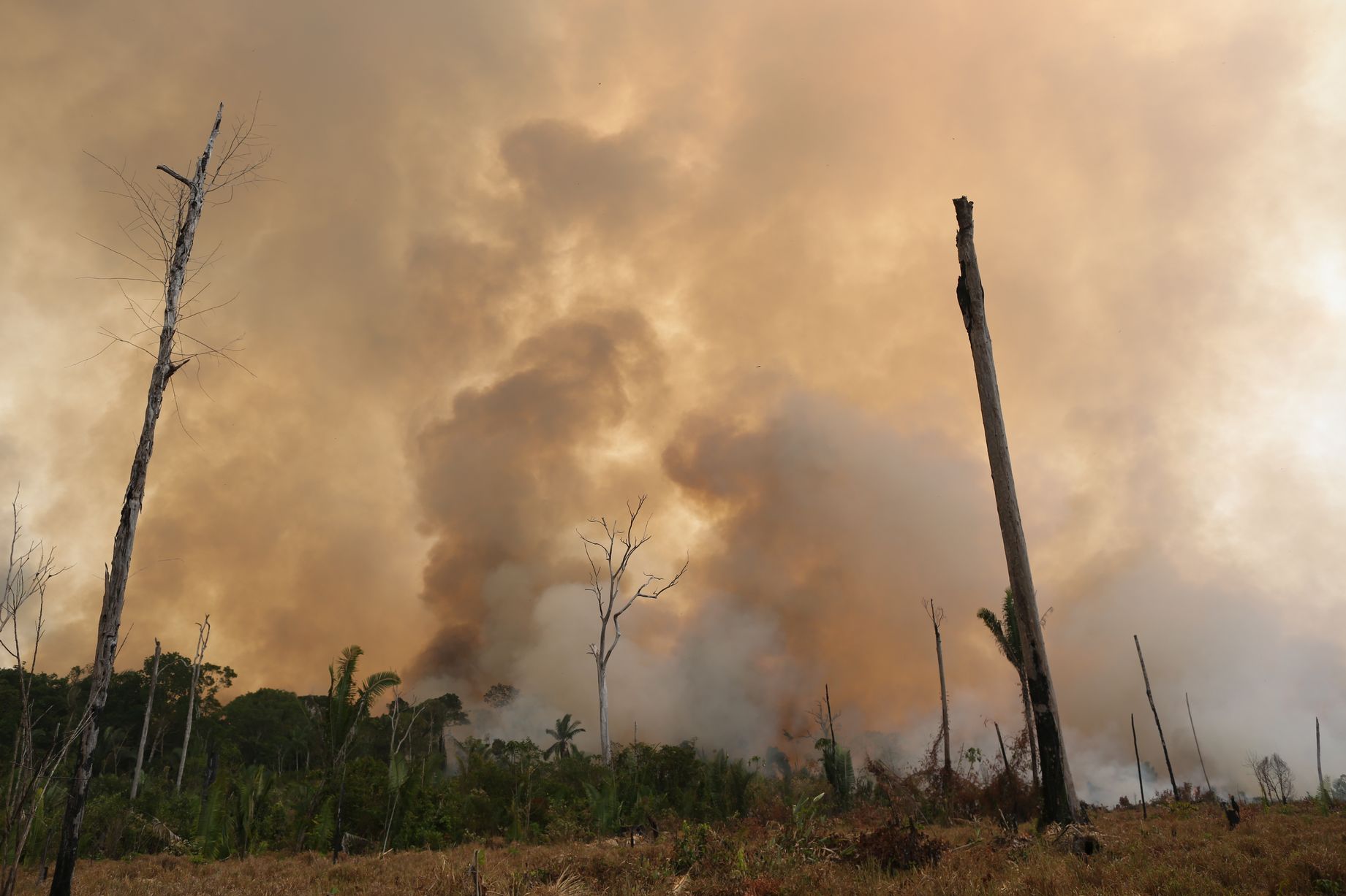 Raging Fire in the Porto Velho region at Rondonia state, Brazil
Photo Credit: WWF
