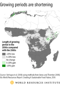 Graphic showing how growing periods are shortening across Africa.