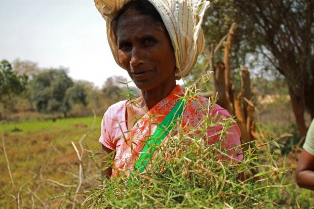Crisis, such as COVID and climate change, offer an opportunity to not only support the immediate needs of women, but to rethink systems. Photo: S. Saini (CCAFS)