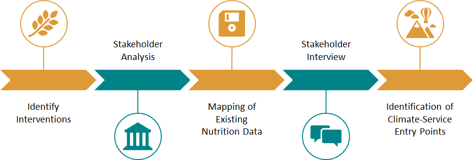 Research methodology undertaken for nutrition landscape mapping. Source: Pranav Singh (ACToday).