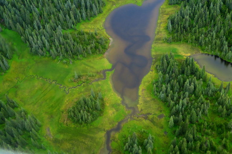 Subalpine Wetlands Canada NBS