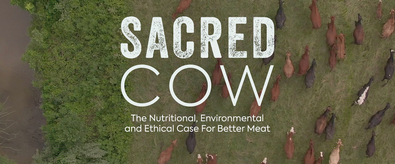 Sacred Cow Documentary Makes the Case That Beef is Good for You, the  Environment - Impakter