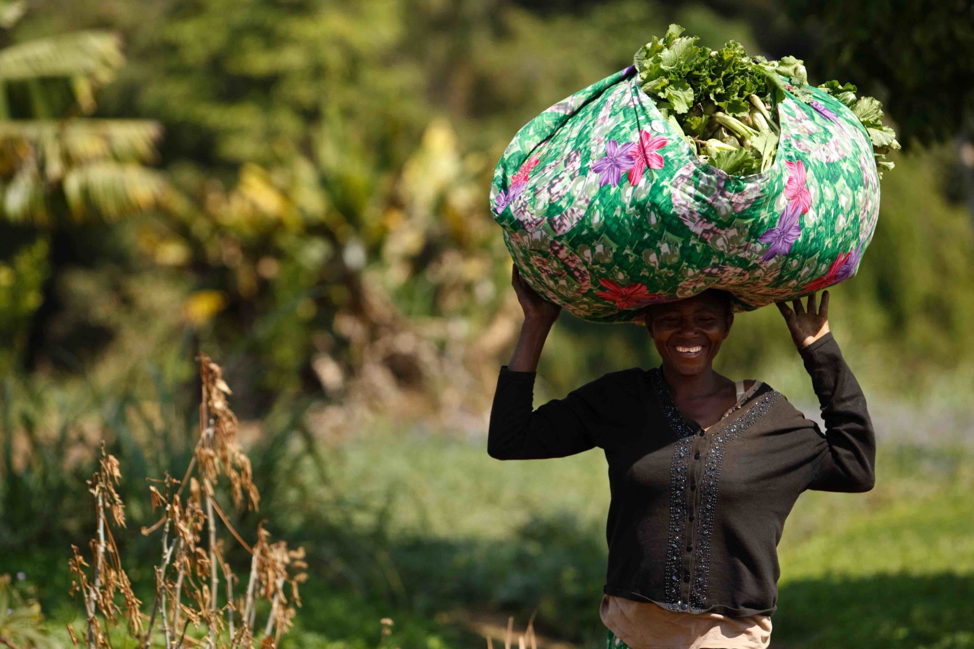 A woman carries a load of Chinese cabbage as she walks through a field in Kamilombe, near Lubumbashi, Katanga province, Democratic Republic of Congo on Wednesday June 29, 2011. As part of its urban and peri-urban horticulture project, the FAO has provided farmers with improved-variety seeds, and has rehabilitated irrigation and flood-prevention infrastructures.