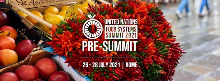 UNFSS pre-summit banner