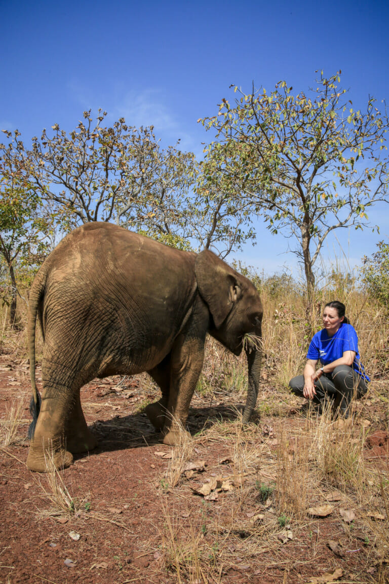 Celine Sissler-Bienvenu, a woman in conservation, sitting next to an elephant