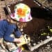 Top 5 Kid-Friendly Gardening Activities