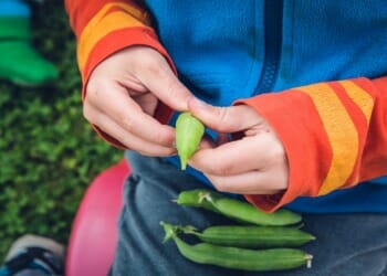 How to to Get Your Kids Excited about Vegetarian Food