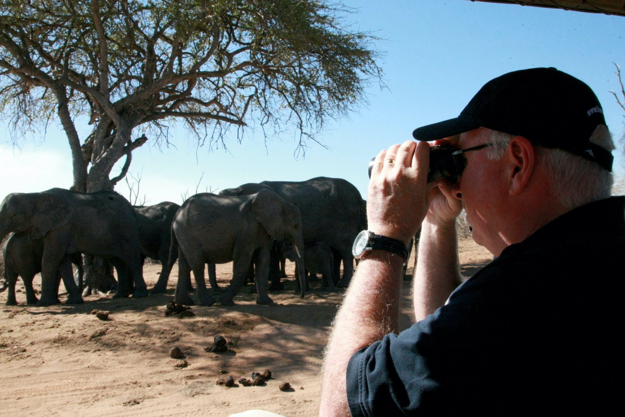 Azzedine Downes observing elephants in the wild as part of conservation efforts