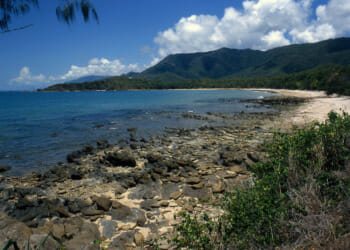 World’s Oldest Tropical Rainforest Handed Back To Original Indigenous Custodians 