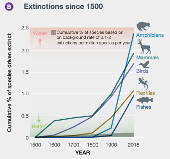 A screenshot of an infographic to demonstrate the cumulative % of species driven exctinct