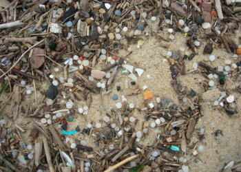 nurdles on a beach