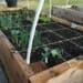 What is Square-foot Gardening?