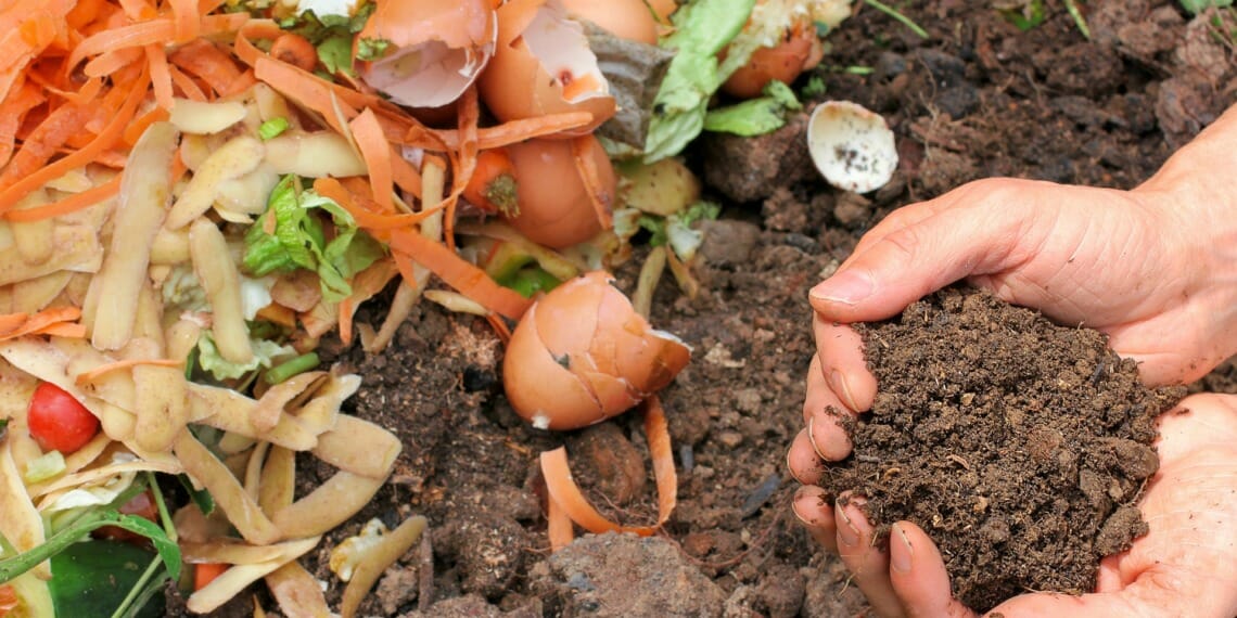 Food waste and Compost Credit melGreenFR via Pixabay