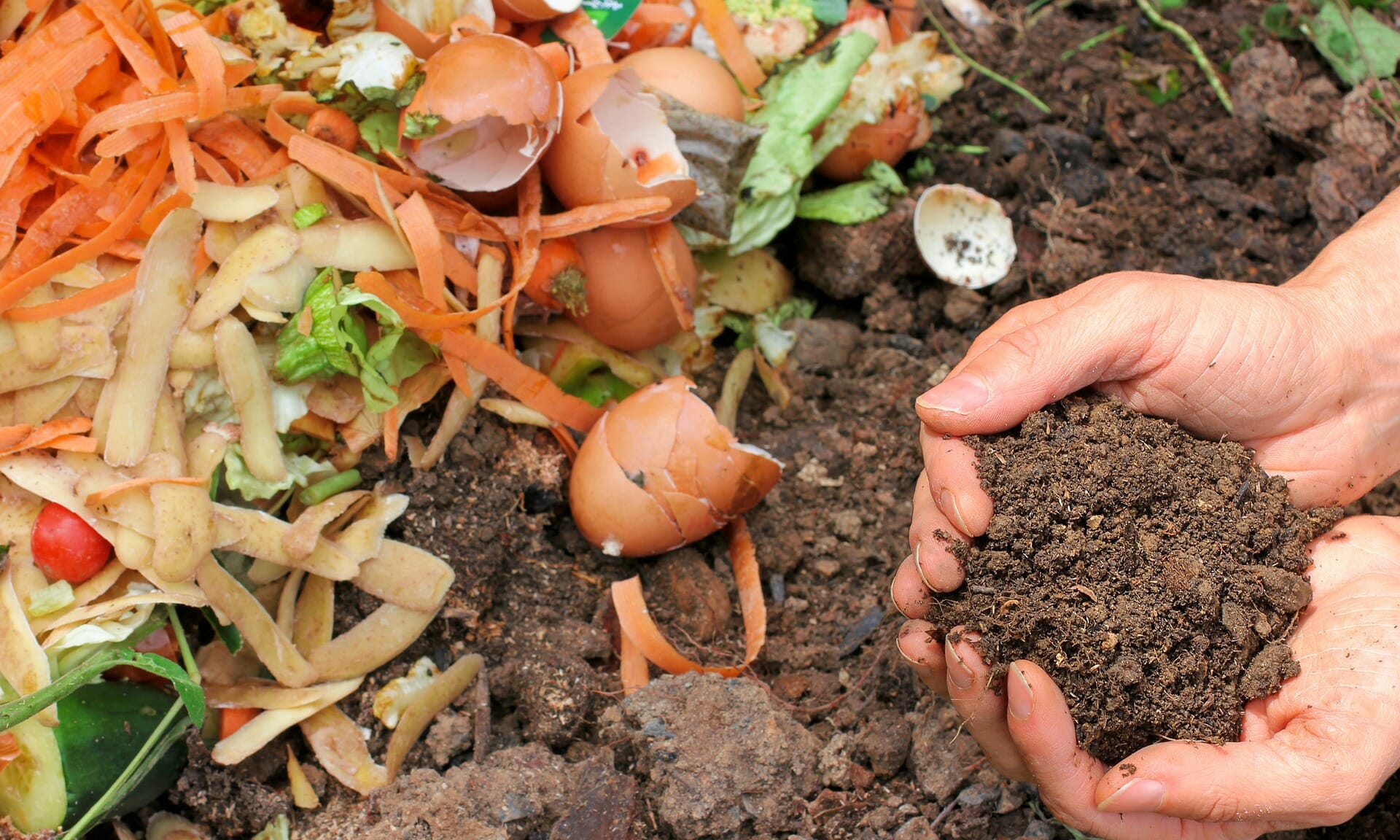 Organics & Food Waste at Home