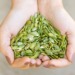 Seed Protein: A Win-Win for the Environment and Your Health?