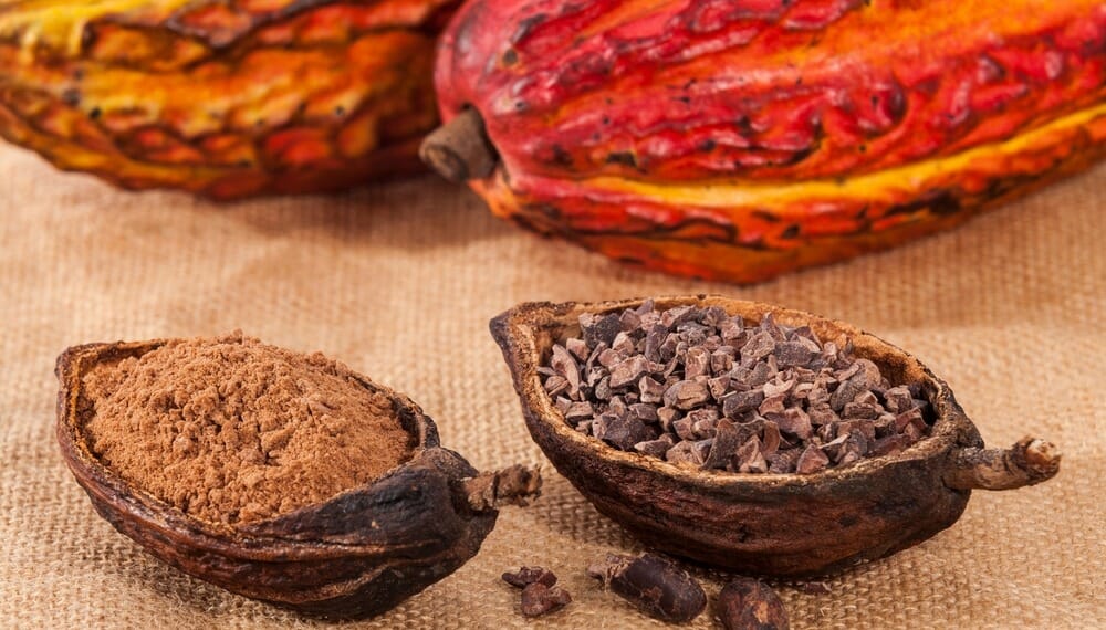 Cacao Plants