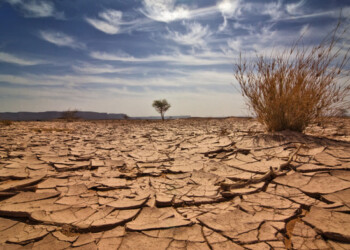 Latest UN Climate Report: A Call for Action