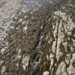 Climate Change Victim: Chile Faces Its Worst Drought in History
