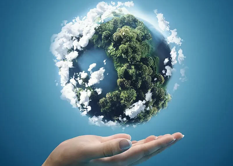 earth in hand