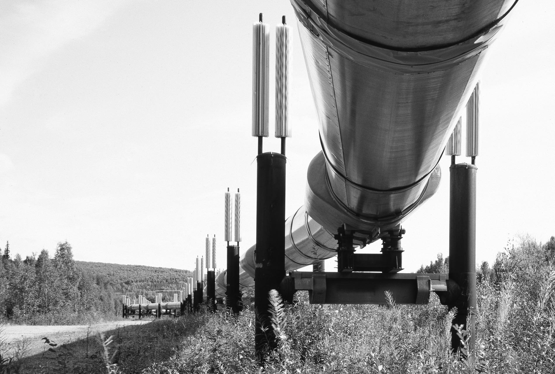 Russian Gas Flow to Europe via Nord Stream 1 Resumes (Sort Of) - Impakter
