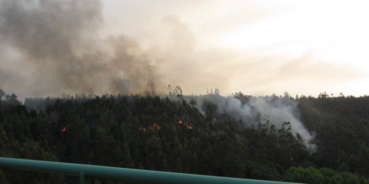 A wildfire in Portugal on September 3, 2012.