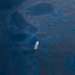 Oil Slicks