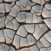 Megadrought in the American South-West: A Climate Disaster Unseen in 1,200 Years