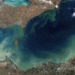 Toxic Algae Bloom in Lake Erie