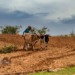 Food Deficits in Africa Will Grow in a Warmer World