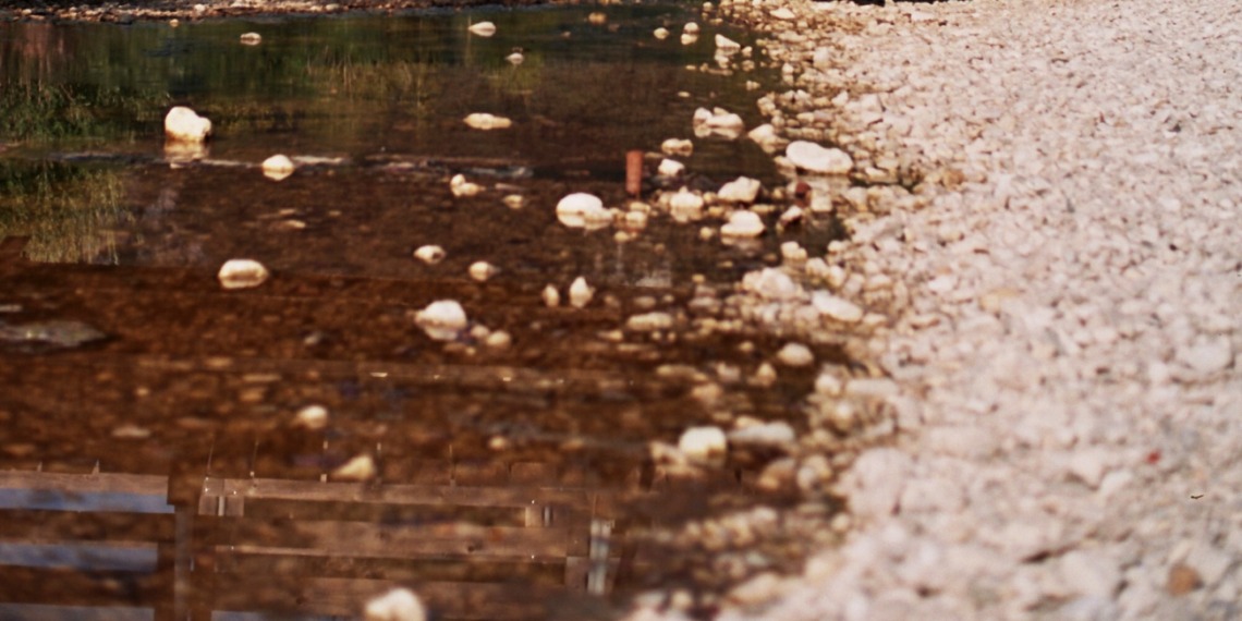 Stream in the US