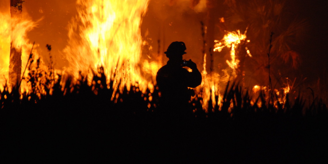 Wildfire at Florida Panther.