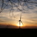 Clean Energy Gets New Opportunity in US Amid Increase in Carbon Emissions