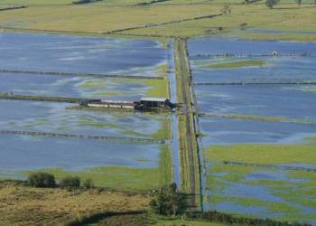 Unprecedented Worldwide Water Crisis in 2021