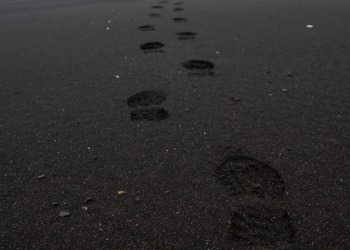 Are Carbon Offsets Worsening the Climate Crisis?