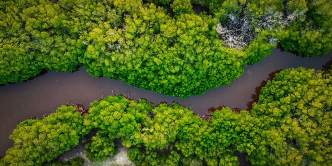 Effect of climate change on women in the Amazon