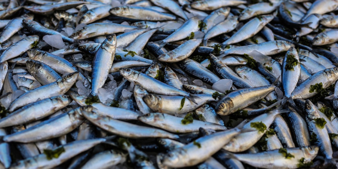 Overfishing