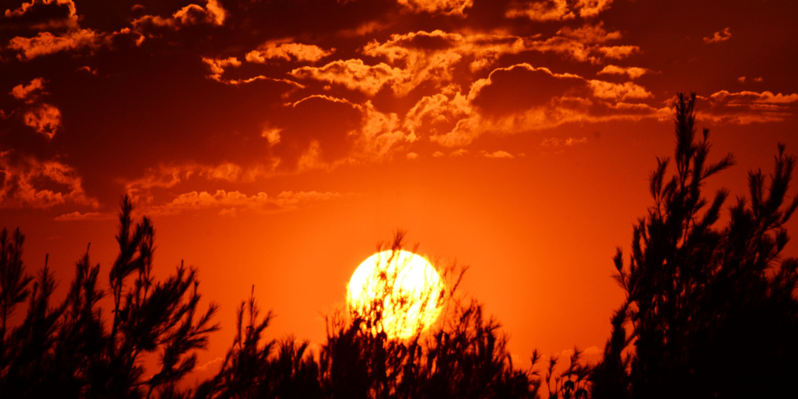 The sun is the original user of nuclear fusion.