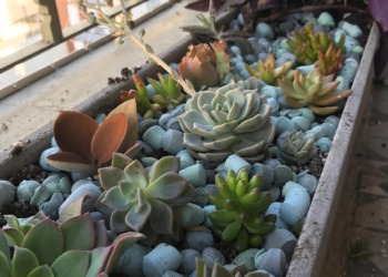 Arqlite, Sustainable Materials From Previously Unrecyclable Plastics