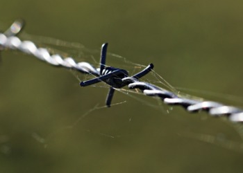 The United States: Russian Asylum Seekers Not Welcome 