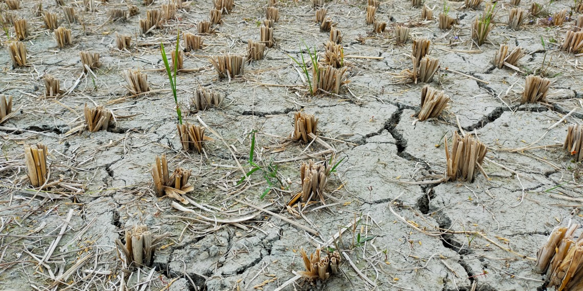 Climate change and food