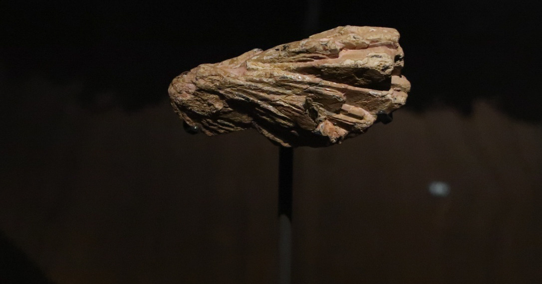 Rare earth minerals discovered in Sweden