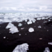 Ice malting and causing sea levels to rise