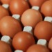 Bird Flu is Making Your Weekly Food Shop More Egg-Spensive