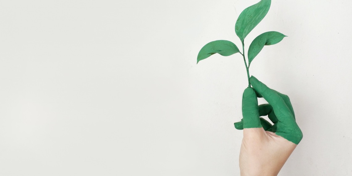 EU and greenwashing