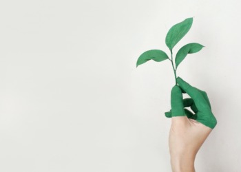 EU and greenwashing