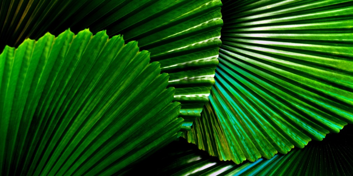 Biomimicry