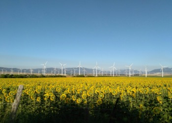 solar and wind energy projects